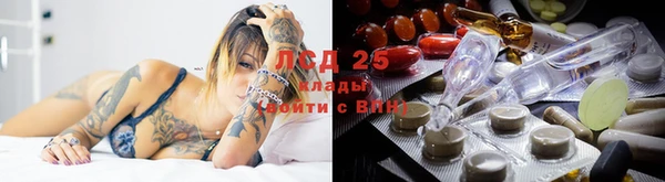 ГАЛЛЮЦИНОГЕННЫЕ ГРИБЫ Алзамай
