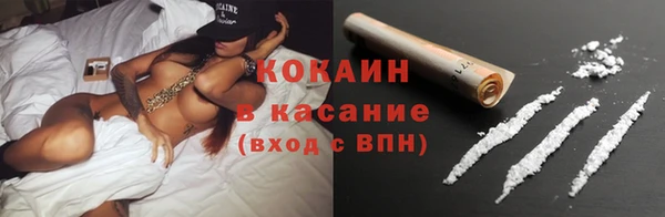 ГАЛЛЮЦИНОГЕННЫЕ ГРИБЫ Алзамай