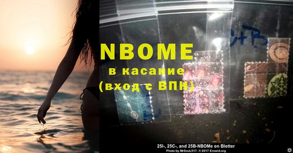 ГАЛЛЮЦИНОГЕННЫЕ ГРИБЫ Алзамай