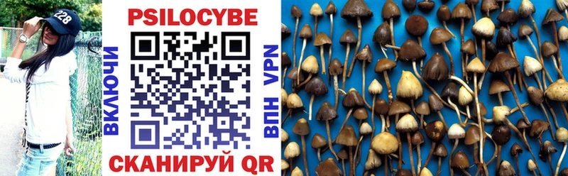 магазин  наркотиков  Навашино  Галлюциногенные грибы Psilocybine cubensis 